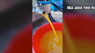 व्यावसायिक उपयोग के लिए शक्तिशाली हाइड्रोलिक जूसर