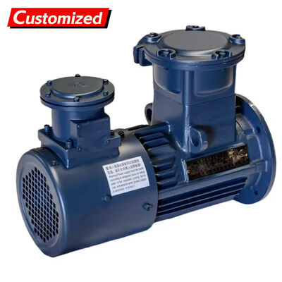 अच्छी कीमत Flameproof 5.5~11kW 750rpm Three-Phase Asynchronous Motor with Variable Frequency Drive for Industrial Applications ऑनलाइन