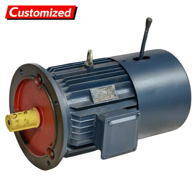 अच्छी कीमत Explosion-Proof Variable Frequency Drive Motor with Braking Function and IP55 Protection for Industrial Applications ऑनलाइन