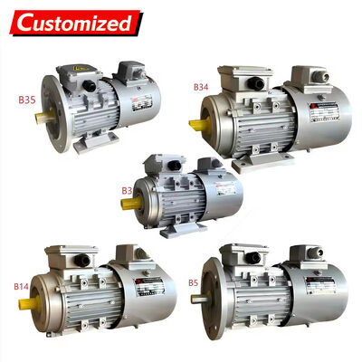 अच्छी कीमत सॉफ्ट स्टार्ट और स्टेपलेस स्पीड रेगुलेशन के साथ 1400 आरपीएम थ्री-फेज एसी वैरिएबल फ्रीक्वेंसी ड्राइव मोटर ऑनलाइन